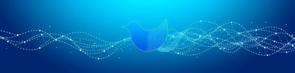 Digital illustration of a Twitter bird silhouette connected by flowing network lines